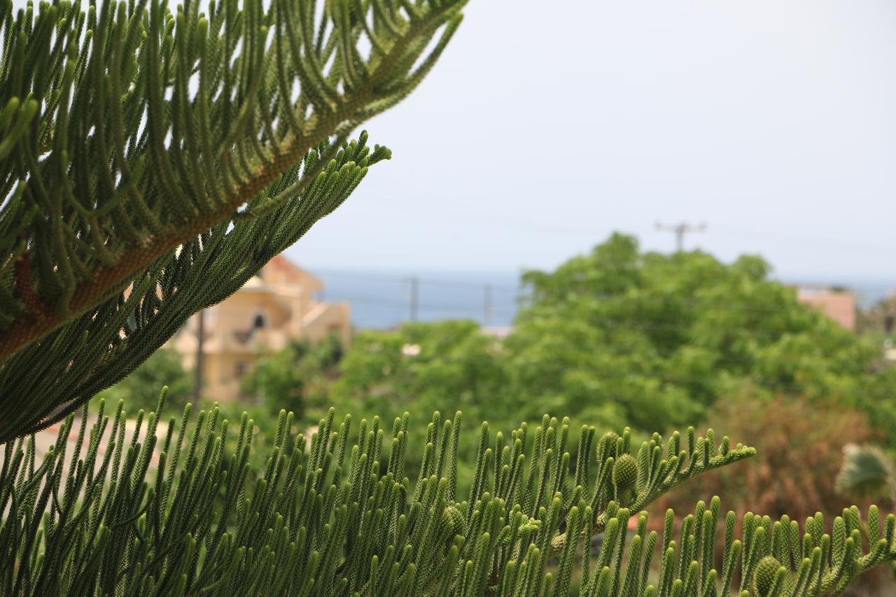 Andriana Aparthotel Agios Georgios  Exteriör bild